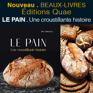 LE PAIN Une croustillante histoire I Éditions Quae