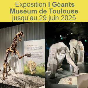 Exposition Géants au Muséum de Toulouse du 8 octobre 2024 au 29 juin 2025