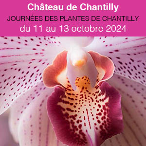 Du 11 au 13 octobre 2024 18ème édition des Journées des Plantes de Chantilly