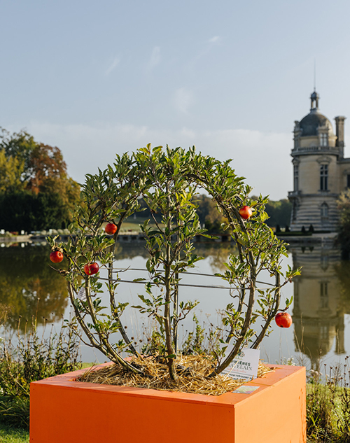 Journees des Plantes3