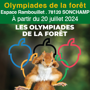 Agenda 2024 : Olympiades de la forêt à l'Espace Rambouillet